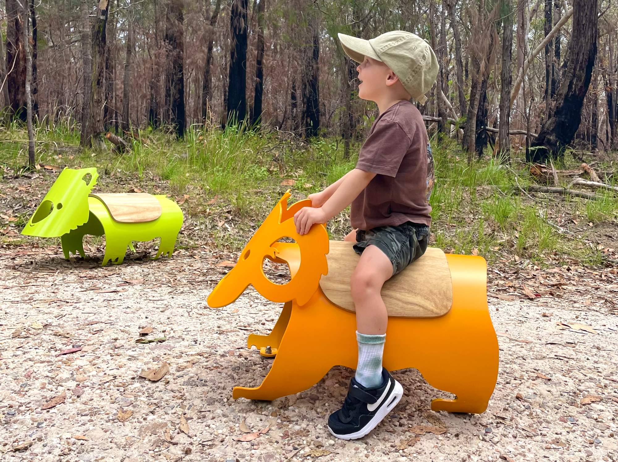 Figure 4. Koala joey, photo taken with permission from child’s parents